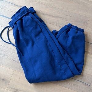 ARITZIA SWEATS / JOGGER